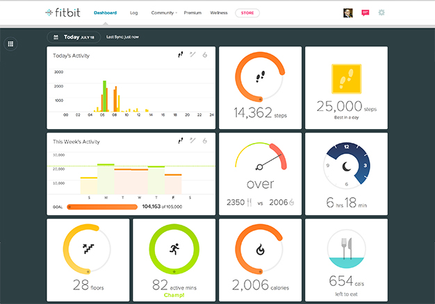 The web dashboard.